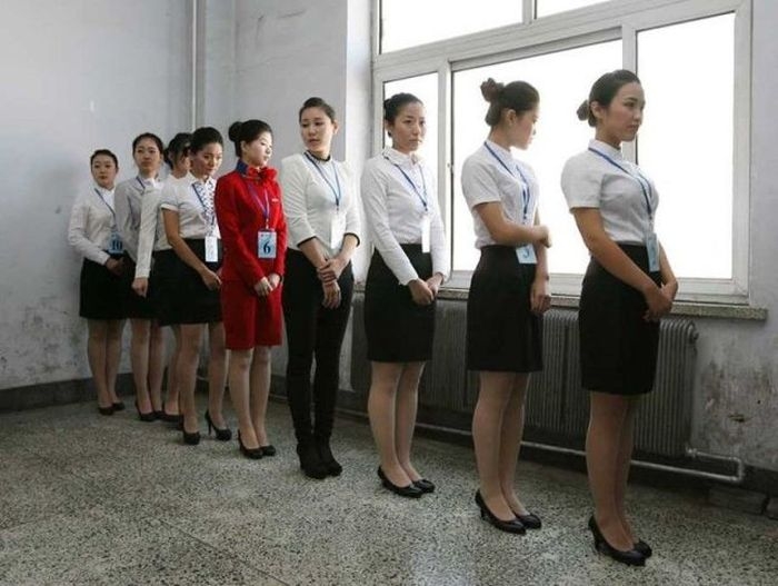 Cómo convertirse en un asistente de vuelo?