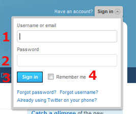 Cómo usar Twitter