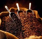 café para envolturas anticelulíticas café para envolturas anticelulíticas