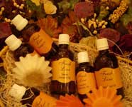 aceites para envolturas anticelulitis aceites para envolturas anticelulitis
