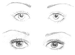 Ojos convexos Ojos convexos
