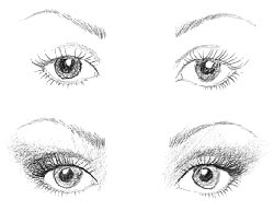 Ojos redondos Ojos redondos