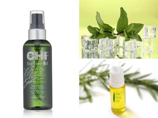 Hidratación de verano: una colección de cuidado del cabello SHI Tea Tree Oil