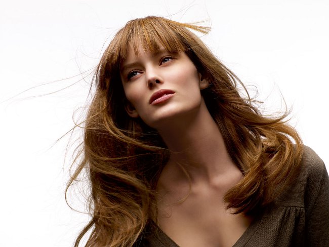 Máscaras con aceite de bardana para el cabello Máscaras con aceite de bardana para el cabello