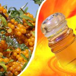 Aceite de espino amarillo para el cabello Aceite de espino amarillo para el cabello