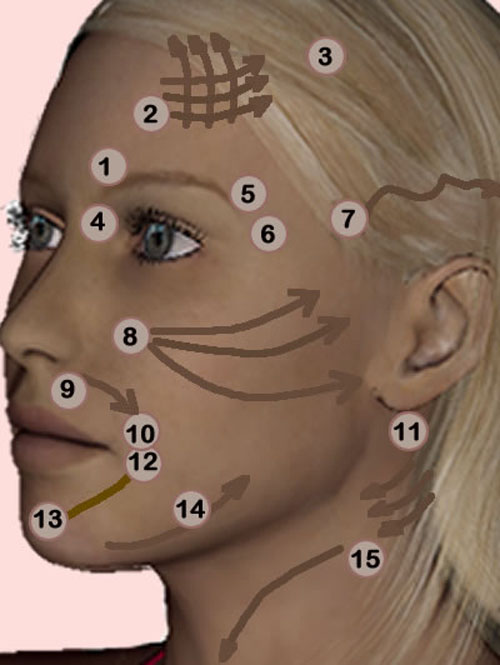 Masaje facial japonés