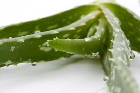 Tratamiento facial de invierno: máscara nutritiva para la piel seca y decolorante en el hogar