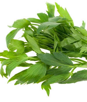 Infusión de amor