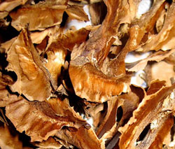 Tratamiento de enfermedades de los remedios caseros de la articulación de la cadera