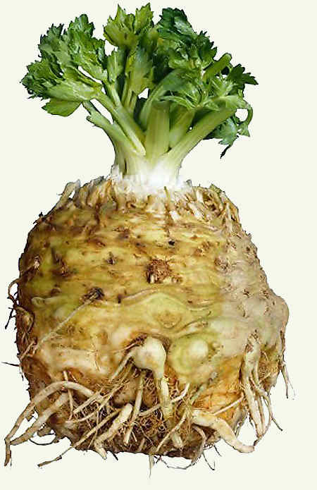 Tratamiento de enfermedades de los remedios caseros de la articulación de la cadera