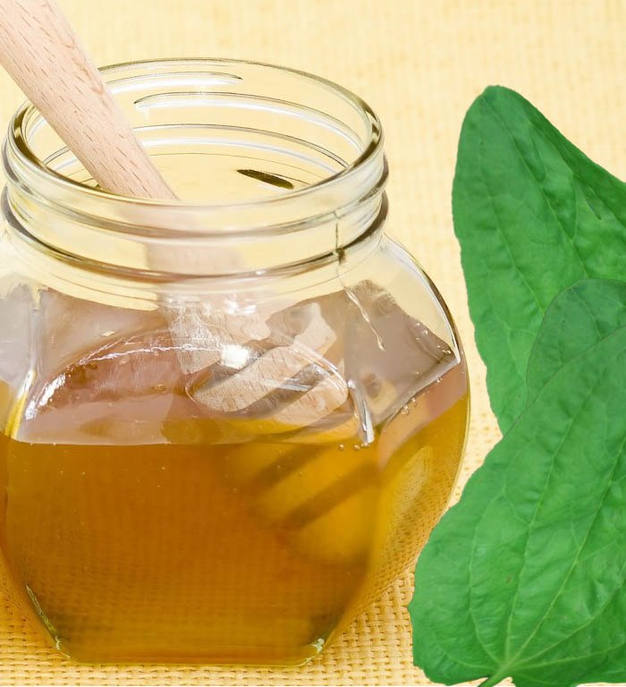 Tratamiento de úlceras gástricas con remedios caseros