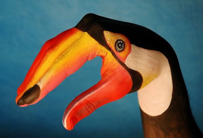 La mano está pintada debajo de un pájaro