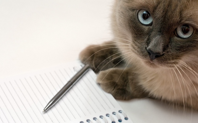 ¿Qué dice la firma de una persona?