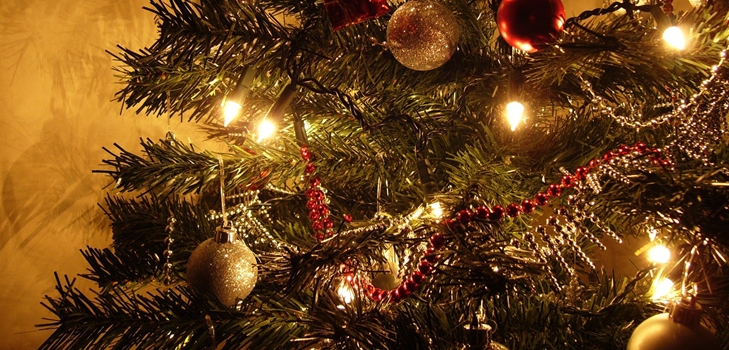 Qué hacer con el árbol después del Año Nuevo