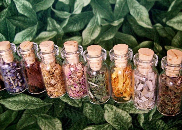 Estas plantas te protegerán a ti y a tu casa del mal de ojo: amuletos vegetales de deterioro