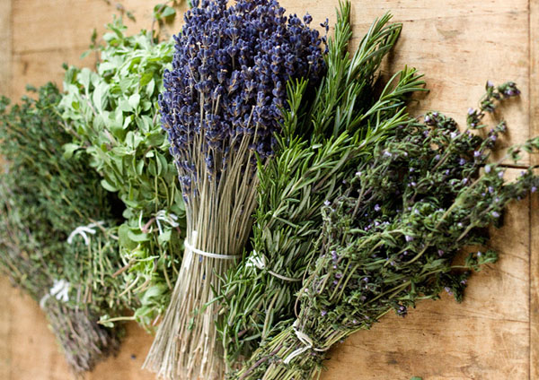 Estas plantas te protegerán a ti y a tu casa del mal de ojo: amuletos vegetales de deterioro