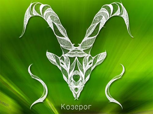 dibujo para mujer ibex