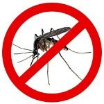 ¿Cómo deshacerse de los mosquitos?