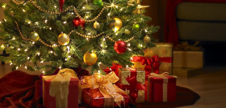 Cómo hacer que un árbol dure más tiempo