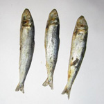 Cómo secar pescado