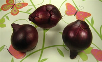 Cómo decorar huevos para Pascua