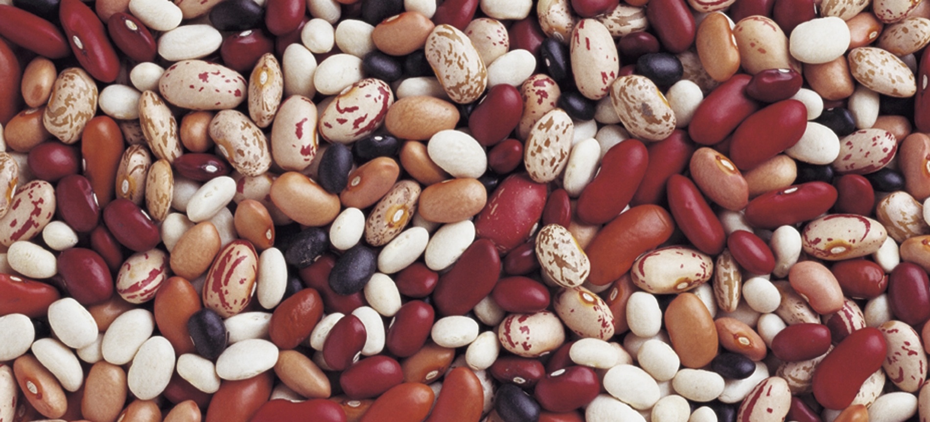 Cómo cocinar frijoles