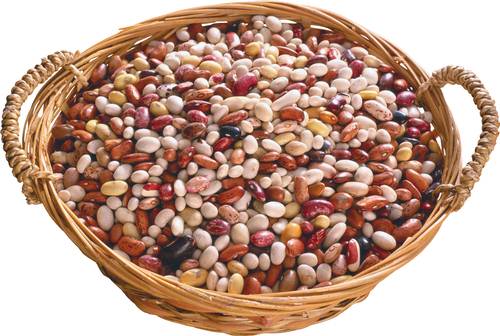 Cómo cocinar frijoles