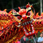 Cómo cumplir el año del dragón