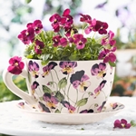 Que flores dar el 8 de marzo