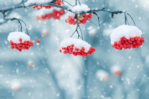 ¿Cuál será el invierno de 2017-2018 en Rusia y Ucrania? El pronóstico más exacto del Centro Hidrometeorológico
