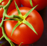 Conservación de tomates
