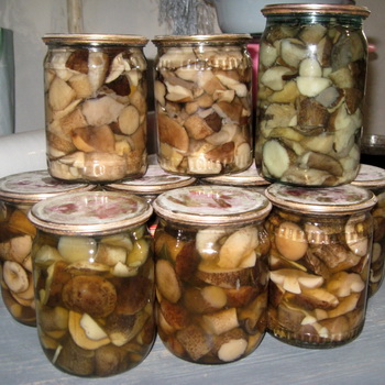 Champiñones enlatados para el invierno