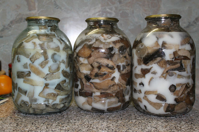Champiñones enlatados para el invierno