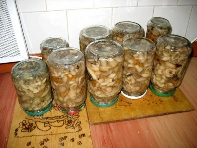 Champiñones enlatados para el invierno