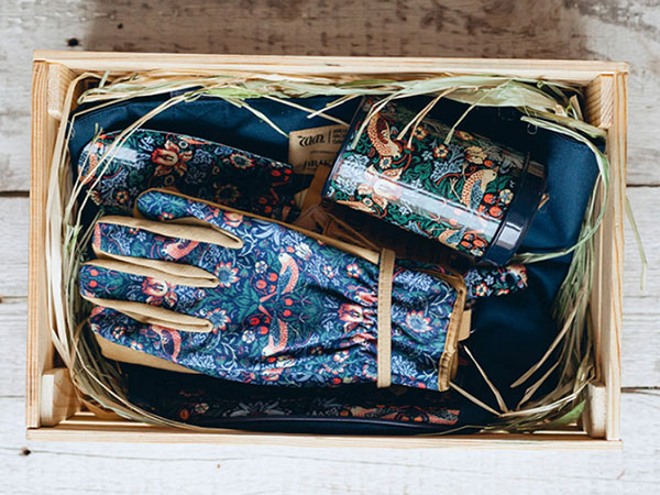 Regalos de verano: TOP-3 ideas frescas