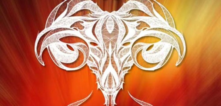 imagen de un ram