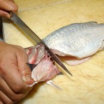 Procesamiento de peces de diferentes tipos