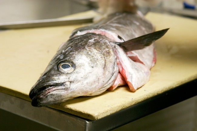 Procesamiento de peces de diferentes tipos