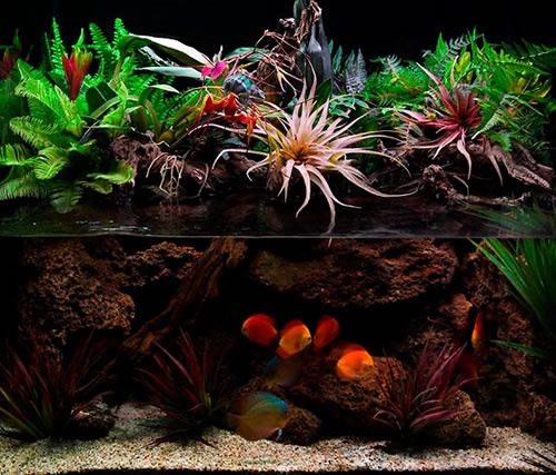 Hacer un acuario con tus propias manos