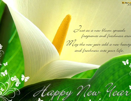 Felicitaciones originales por el nuevo año 2015, las mejores felicitaciones