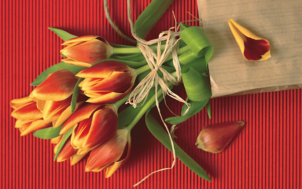 Hermosas canciones el 8 de marzo madre y abuela de niños