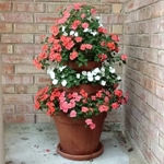 Soportes de flores con sus propias manos