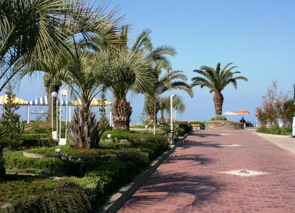 Qué clima se espera en Sochi en agosto de 2016, de acuerdo con las previsiones del centro hidrometeorológico y de acuerdo con las revisiones de los turistas, la temperatura del agua y el aire en Sochi en agosto