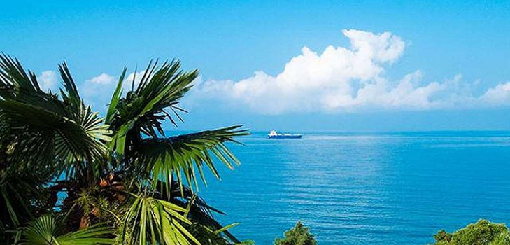 El clima en Sochi en septiembre de 2016 está pronosticado por el centro hidrometeorológico y, según los comentarios de los turistas, la temperatura del agua y el aire en Sochi en septiembre