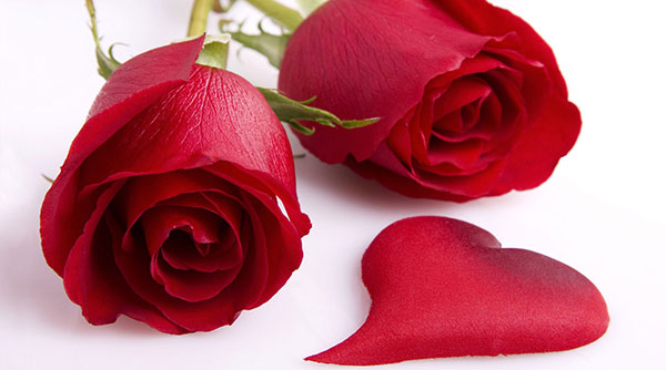 Felicidades a los amantes de la poesía y la prosa