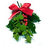 Tradiciones navideñas en diferentes países. Parte 2