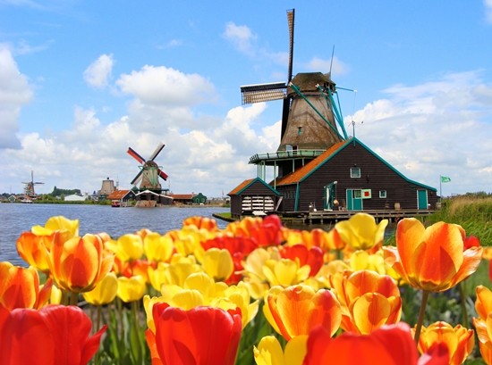 Con el mundo en un hilo: qué traer de Holanda