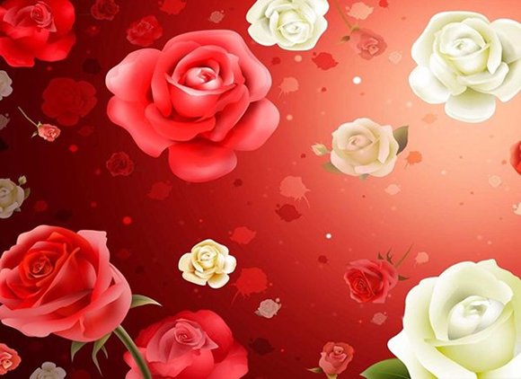 dibujo de rosas