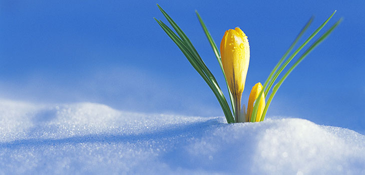 Composición sobre el tema de la primavera