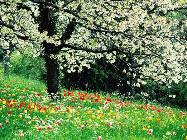 Composición sobre el tema de la primavera